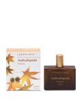 Ambraliquida Parfum - Ambre