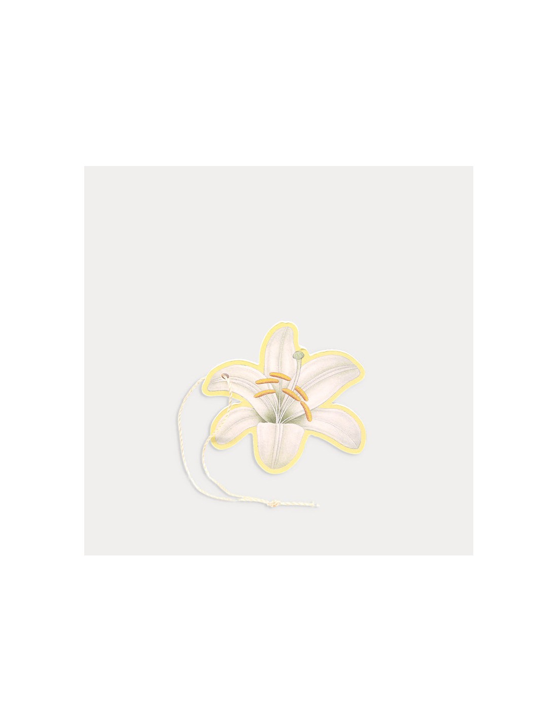 Lily Sachet parfumé polyvalent - Lys